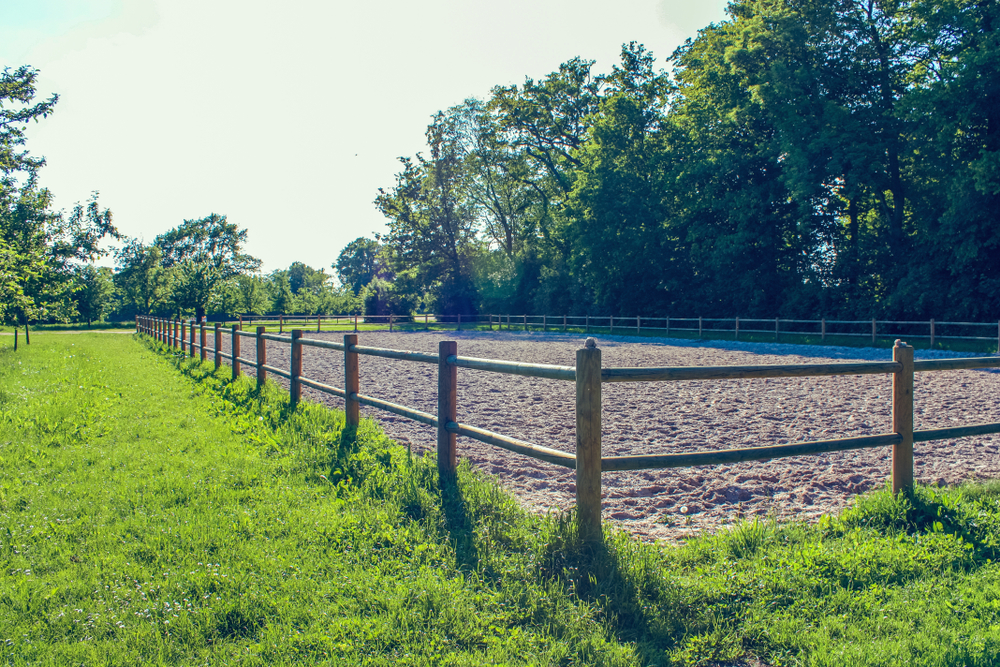 Sand,Paddock,In,Park,With,Wooden,Fence,,Green,Grass,,Trees
