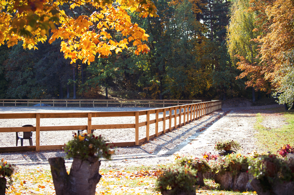 Empty,Horse,Riding,Outdoor,Arena,With,Wooden,Fence,In,Autumn