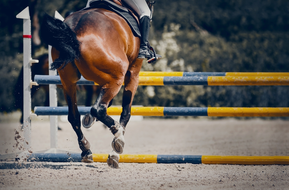 The,Horse,Overcomes,An,Obstacle.,Equestrian,Sport,,Jumping.,Overcome,Obstacles.