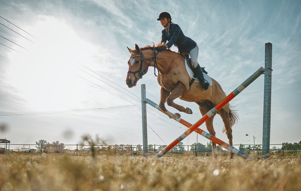 Training,,Jump,And,Woman,On,A,Horse,For,A,Course,