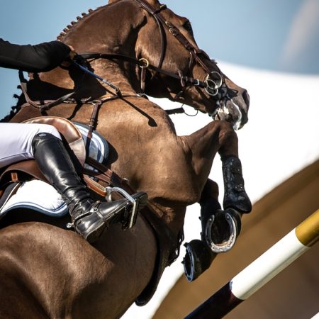 Horse,Jumping,,Equestrian,Sports,,Show,Jumping,Themed,Photo.