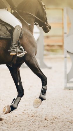 Equestrian,Sport.,Galloping,Horse.,The,Legs,Of,A,Horse,Galloping,