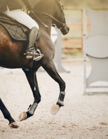 Equestrian,Sport.,Galloping,Horse.,The,Legs,Of,A,Horse,Galloping,