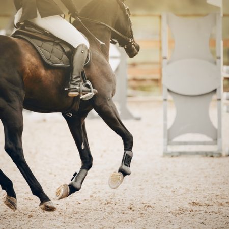 Equestrian,Sport.,Galloping,Horse.,The,Legs,Of,A,Horse,Galloping,